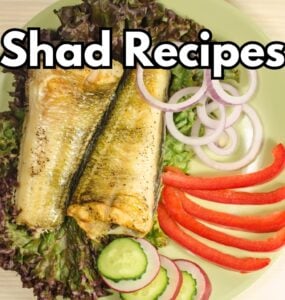 Shad Recipes