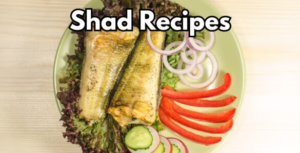 Shad Recipes