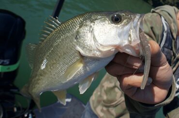 The Top 30 Fishing Lakes in Illinois - Fishmasters.com