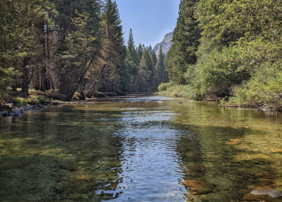 Top 30 Trout Streams in California - Fishmasters.com